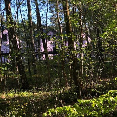Lawendowe Domki Międzywodzie Exterior foto