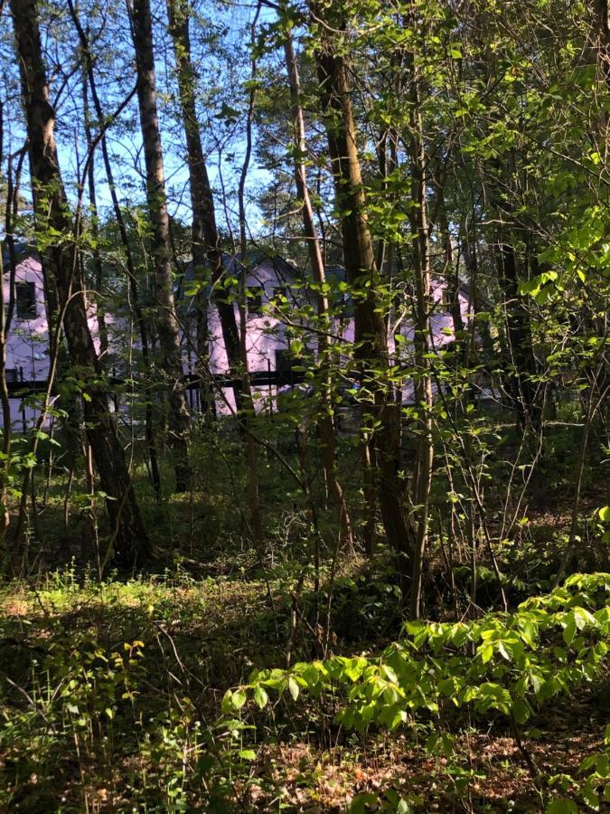 Lawendowe Domki Międzywodzie Exterior foto